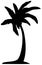 Detailed palm tree