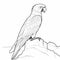 Detailed Parrot Coloring Pages In Precisionist Style