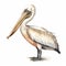 Detailed Pelican Watercolor Clipart For Digital Painting And Paper Crafting