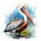 Detailed Pelican Watercolor Clipart For Digital Painting And Paper Crafting