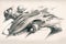 detailed pencil drawing of futuristic flying machine with sleek, aerodynamic lines