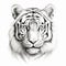 Detailed Pencil Drawing Of A White Tiger Head - Tattoo Style Illustration