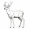 Detailed Penciling Art Of A White Deer On White Background