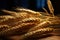 Detailed photorealism in portraying wheat ears and grains with a macro lens