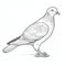 Detailed Pigeon Drawing For Coloring - High-quality Outline Art