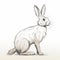 Detailed Rabbit Drawing On White Background In Raphael Lacoste Style