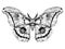 Detailed realistic sketch of a butterfly / moth