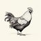 Detailed Rooster Pencil Drawing Vector Illustration