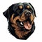 Detailed Rottweiler Dog Face Illustration In Flat Colors