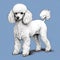 Detailed Shaded Illustration Of A White Poodle On Blue Background