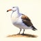 Detailed Shaded Seagull Illustration In Southern Countryside Style
