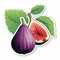 Detailed Shading Fig Sticker With Purple Fig And Leaf Vector