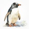 Detailed Shading Penguin Painting On White Background