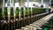 A detailed shot of the bottling line within the