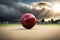A detailed shot of a cricket ball just before it hits the stumps