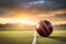 A detailed shot of a cricket ball just before it hits the stumps