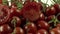 Detailed Shot Pile Of Fresh Tomato