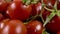 Detailed Shot Pile Of Fresh Tomato