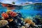 detailed shot of a vibrant coral reef under clear water