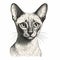 Detailed Siamese Cat Ink Drawing On White Background