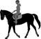 Detailed silhouette of young female riding elegant horse