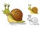 Detailed Snail Cartoon Character with Flat Design and Line Art Black and White Version