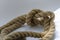 A detailed snapshot of a knotted knot