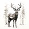 Detailed Stag Red Deer Drawing In The Style Of Brian Mashburn