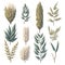 Detailed Sticker of Watercolor Grains plants on white background