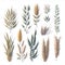 Detailed Sticker of Watercolor Grains plants on white background