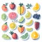 Detailed Sticker of Watercolor slice fruit with leaves set on white back ground