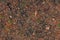 Detailed surface views on different forest grounds with leaves branches and nuts in high resolution