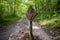 detailed trail marker with arrow pointing in specific direction