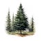 detailed tree illustration, isolated on a white background, is a stunning artistic representation of nature\\\'s beauty.