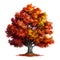 detailed tree, isolated on a white background, is a botanical the natural beauty of a tree\\\'s intricate details.