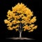 detailed tree, isolated on a white background, is a botanical the natural beauty of a tree\\\'s intricate details.