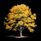 detailed tree, isolated on a white background, is a botanical the natural beauty of a tree\\\'s intricate details.