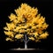 detailed tree, isolated on a white background, is a botanical the natural beauty of a tree\\\'s intricate details.