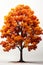 detailed tree, isolated on a white background, is a botanical the natural beauty of a tree\\\'s intricate details.