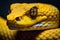 A detailed and up-close image capturing the head of a yellow snake in all its intriguing glory, Yellow viper snake in close up, AI