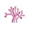 Detailed vector icon of purple-pink coral tubes. Underwater organism. Tropical sea plant. Marine theme. Aquarium design