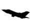 Detailed vector illustration of an Air Force Panavia 200 PA-200 Tornado fighter jet. silhouette Panavia 200 Pa 200