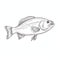 Detailed Vector Illustration Of A Fish Sketch