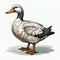 Detailed Vector Illustration Of A White Duck With Heavy Shading