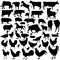 Detailed Vectoral Farm Animal Silhouettes