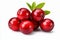 Detailed and vibrant cranberry fruit on white background, ideal for attention grabbing advertising