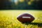 Detailed view American football on lush green grass, copy space