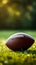 Detailed view American football on lush green grass, copy space