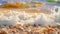 A detailed view capturing a collection of different seashells arranged haphazardly on the sandy shore of a beach, Waves crashing