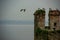 Detailed view of the Castello Sirmione with seagulls in cloudy weather